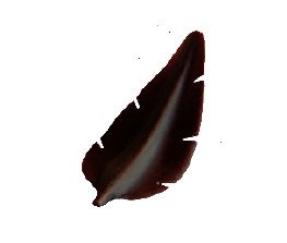 Plume en chocolat noir mini colis (0,5Gx400) La Rose Noire | Dupasquier