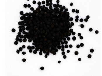 Poivre noir Malabar BIO boîte 130G Le Monde des Epices | Grossiste alimentaire | Dupasquier