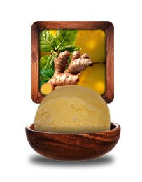 Sorbet ananas menthe gingembre pièce unitaire 2,5L Glace des Alpes | Grossiste alimentaire | Dupasquier
