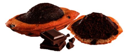 Madeleine marbrée chocolat colis (45Gx70) St Michel | Dupasquier