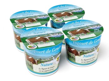 Yogourt nature GRTA 150G Vivadis | Grossiste alimentaire | Dupasquier